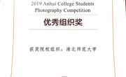 球盟会在2019年安徽省老员工摄影作品大赛中荣获“优秀组织奖”