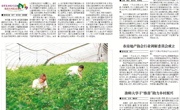 《淮北日报》报道淮师大球盟会学子“推普助力乡村振兴”暑期社会实践活动